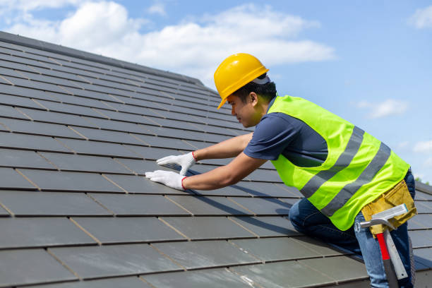 Best Shingle Roofing Installation  in Mount Vernon, GA