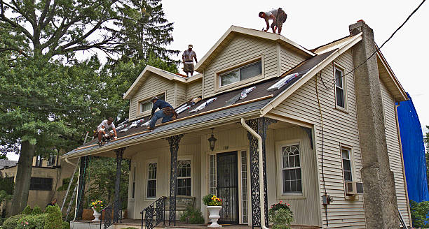 Best Roof Repair Services  in Mount Vernon, GA